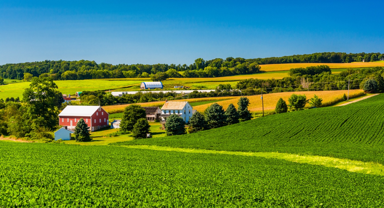 Rural Outreach Grant
