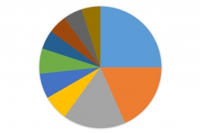 RMIC Top Issues Blank Chart