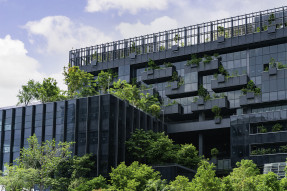 Commercial building with trees on plaza, rooftop, and balconies