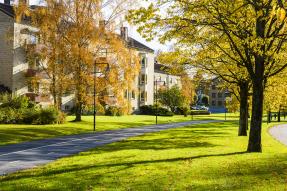 Condominiums and a walking path in autumn