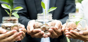 Plants sprout out of jars with coins