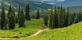 Red car driving on trail through forest