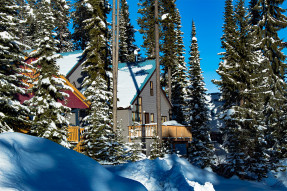 Houses and pine trees in the snow