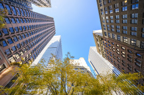 Looking up at trees and apartment buildings against a blue sky