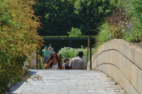 Pedestrian bridge in a park