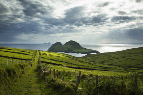 Rural Ireland