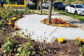 Final development of the animal care center entryway in Staten Island, NY, with plants