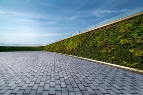 Brick plaza with living plant walls