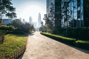 Walkway in a city downtown park at sunrise