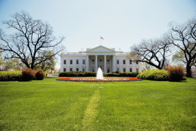 Low angle view of the White House front lawn in late winter, Washington DC