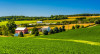 View of farm land and houses in rural York County, Pennsylvania.