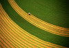 Aerial view of harvesting crop