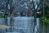 Flooded residential neighborhood