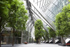 Trees in interior courtyard of commercial building